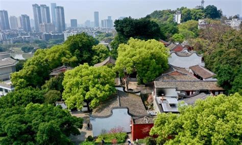 Der Wushan-Wald: Mystische Baumriesen und malerische Wasserfälle im Herzen von Fuzhou!