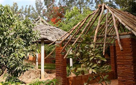 Yelahanka Pineapple Farm - Ein Paradies der süßen Versuchung!