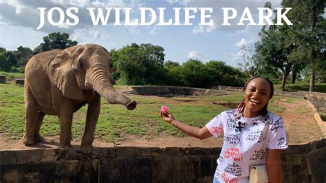 Das Jos Wildlife Park: Ein Paradies für Tierliebhaber und Naturbegeisterte!